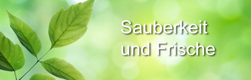 Sauberkeit und Frische